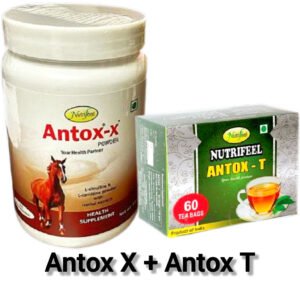 Antox X + Antox T – Sexual Wellness & Vitality Support